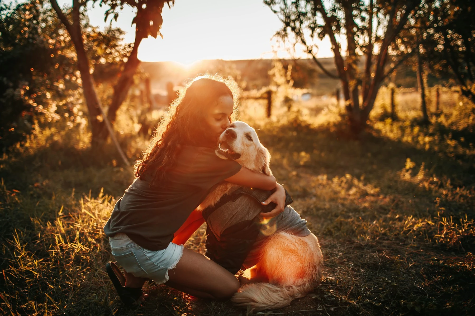 Uma pessoa abraça carinhosamente um cão ao ar livre